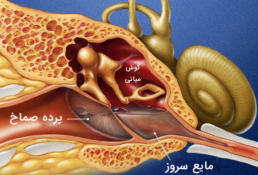 تکان خوردن مايع گوش